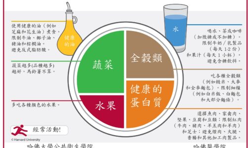 哈佛健康飲食餐盤